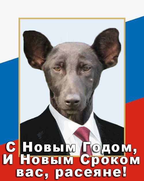 "З прийдешнім святом": соцмережа "ВКонтакте" привітала росіян із Новим роком - Цензор.НЕТ 3834