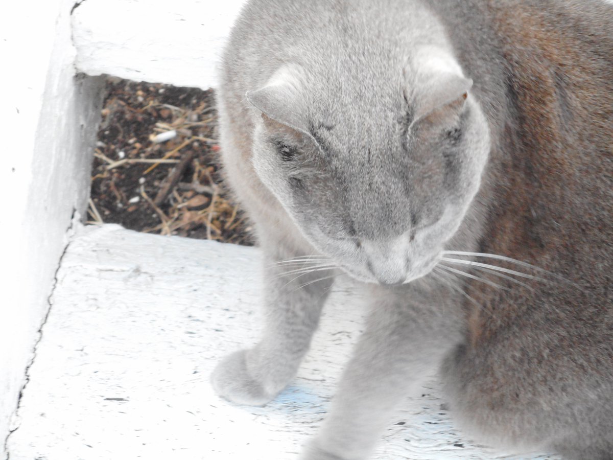 happy new year to all good cheers