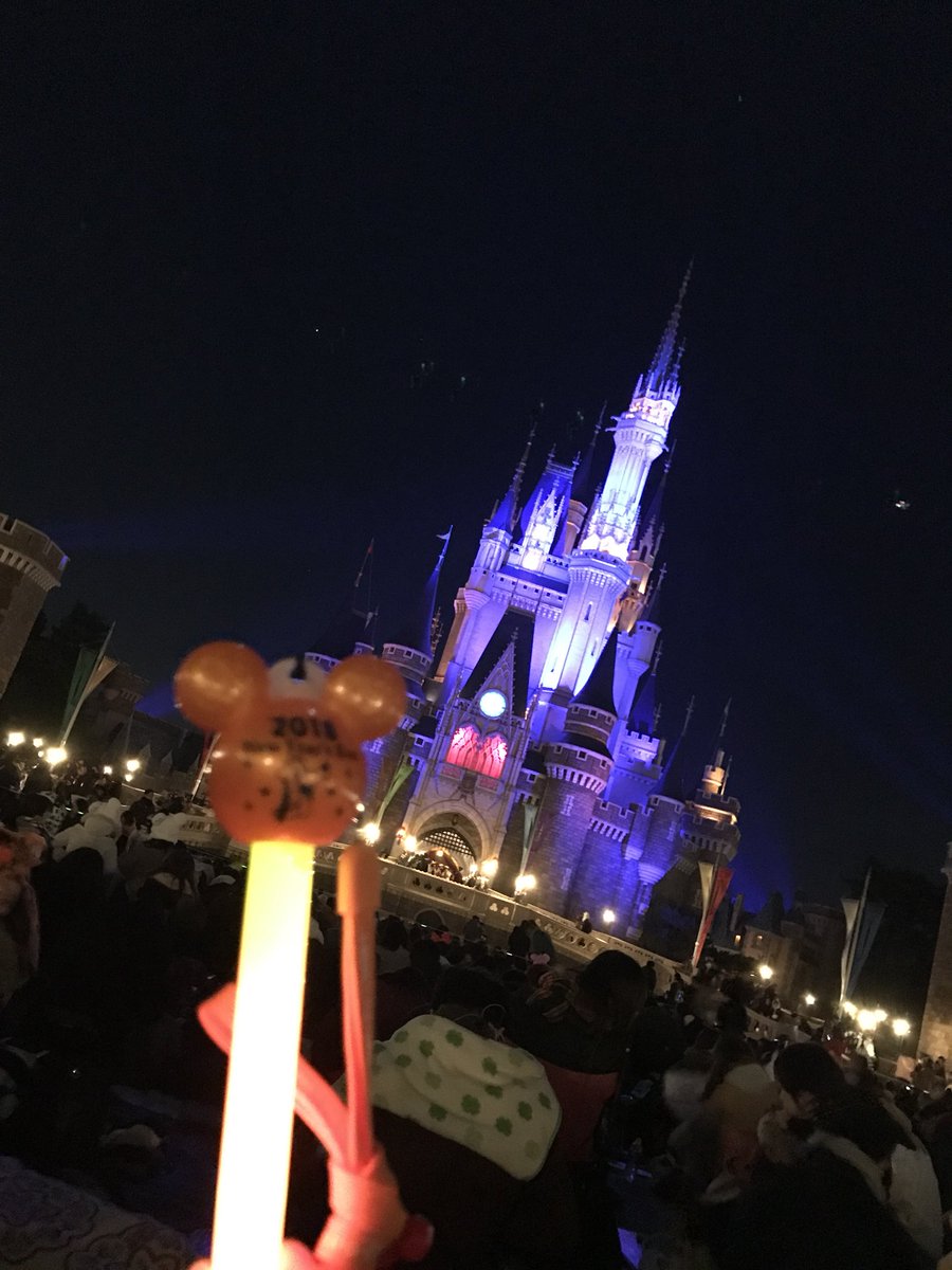 ディズニー年越し