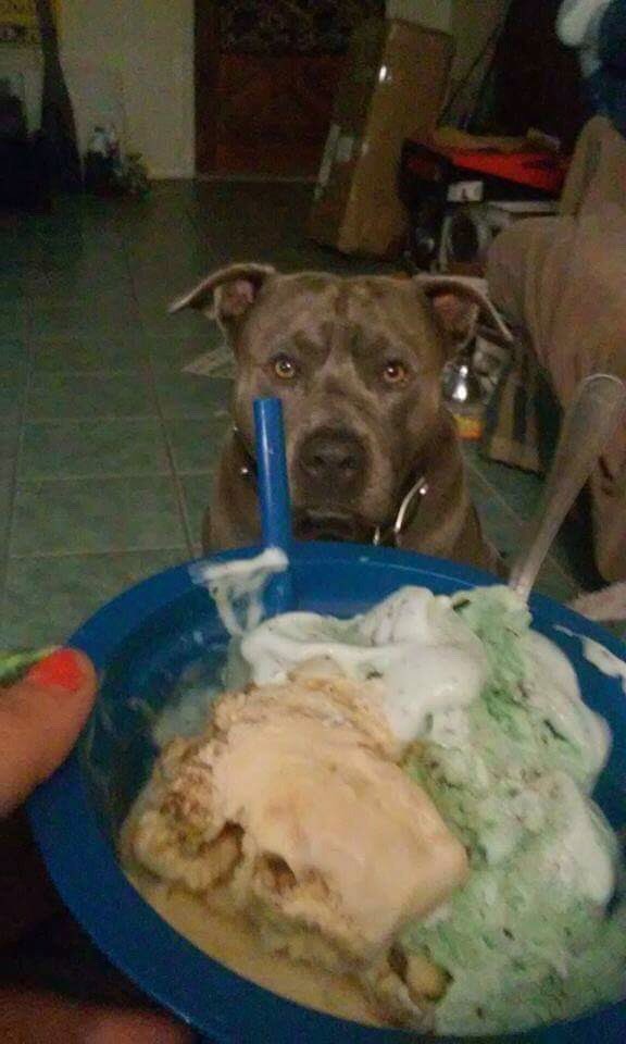 Sherry Lee (@lee32744925) on Twitter photo 