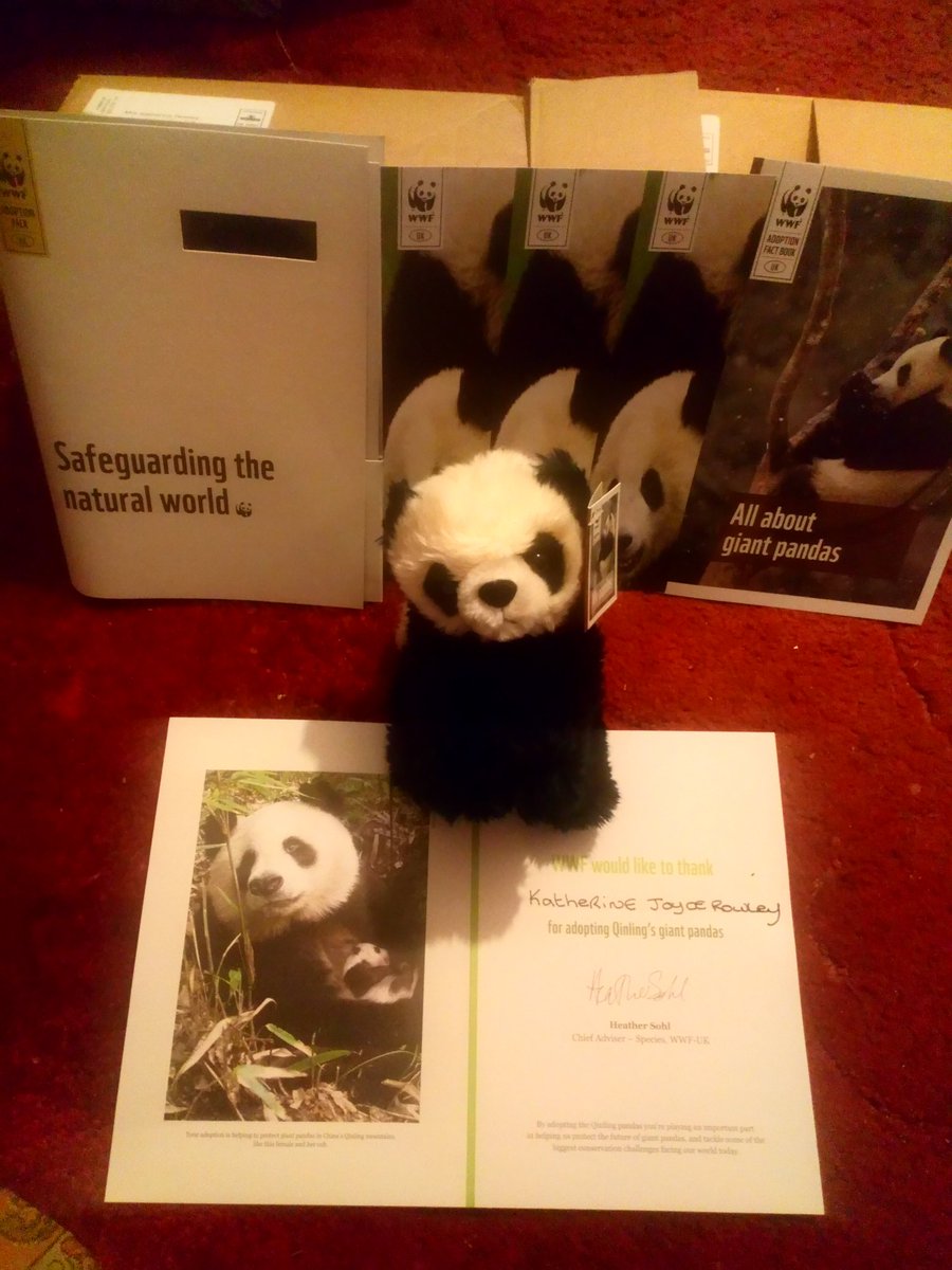 KatherineJoyce0's tweet image. Yes it&apos;s come my panda 🐼 adoption 😍 love it @wwf_uk @WWFScotland #protectallwildlife #SaveWildLife #savepandas