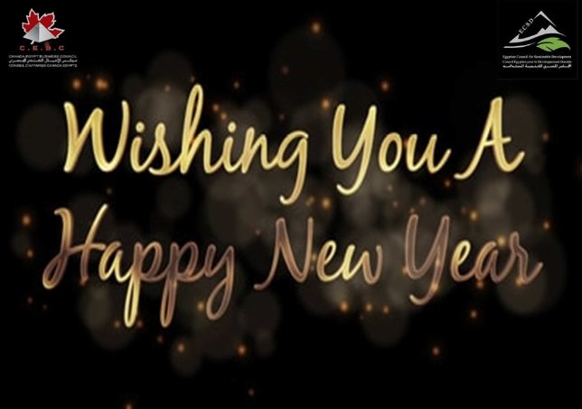 Canada Egypt Business council tweet media