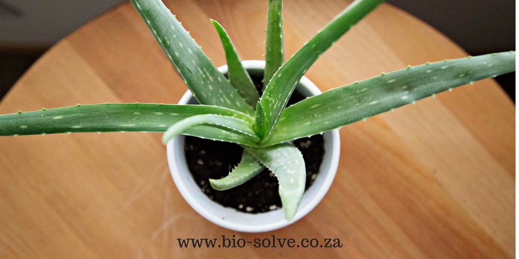 biosolve1 tweet picture