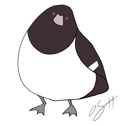 ジュウシマツのtwitterイラスト検索結果