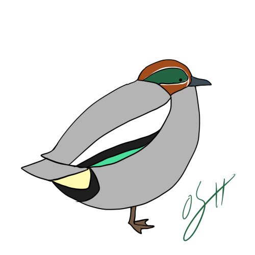 ジュウシマツのtwitterイラスト検索結果 古い順