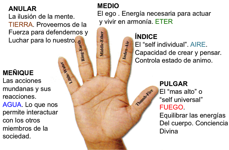 BienEspacio's tweet photo. Mudras: sabiduría en nuestras manos https://t.co/AjAg17x61z - #TerapiasNaturales #Valencia #Reiki #Yoga https://t.co/nHs07xnzZh