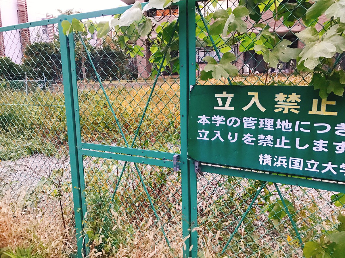 SakaYnu's tweet photo. どこが管理地や
荒れ放題やないかい https://t.co/PagSh8YOU8