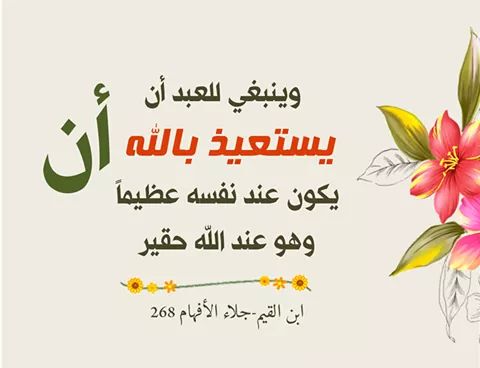 DALGroup's tweet image. 