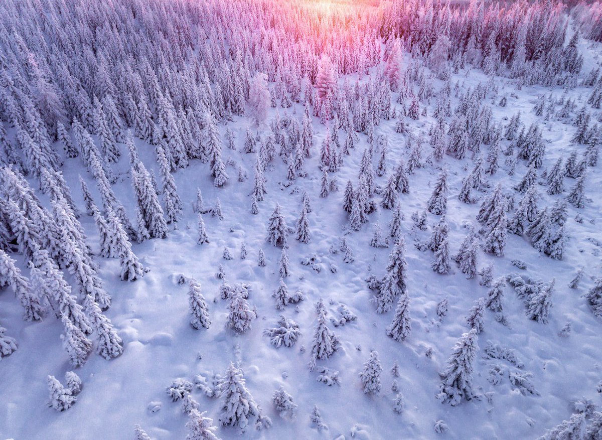esthetics | archive (@esthtcs27) on Twitter photo 