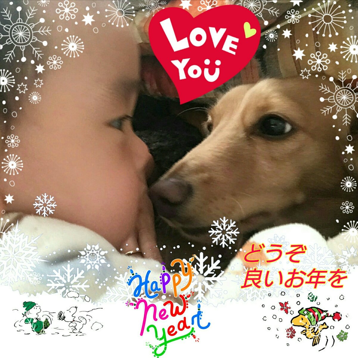 マサヒロ　in Wonderland (@a_gm55) on Twitter photo 