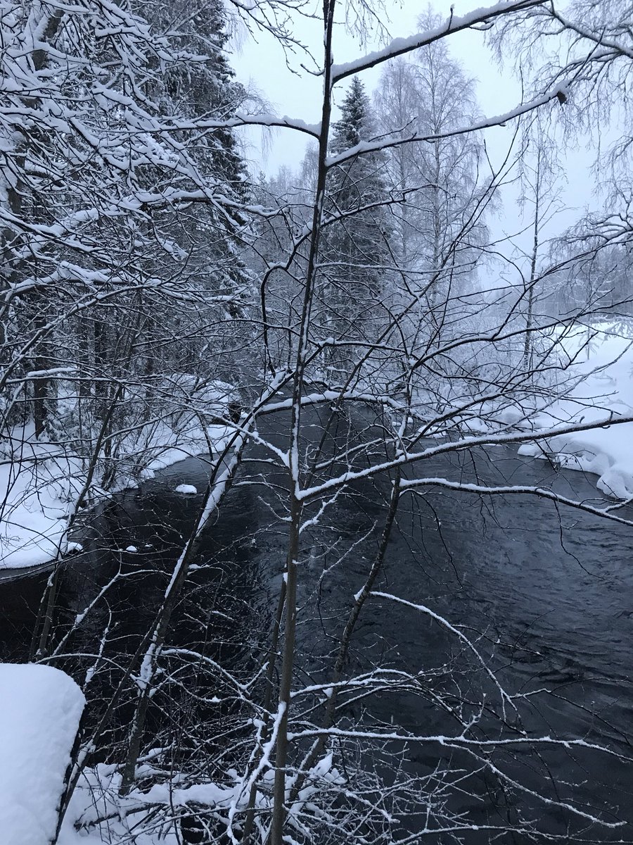 Lovevaru's tweet photo. Gott Nytt 2018! Önskar er år med fred, rättvisa och jämlikhet! https://t.co/qmb8x5kjTW