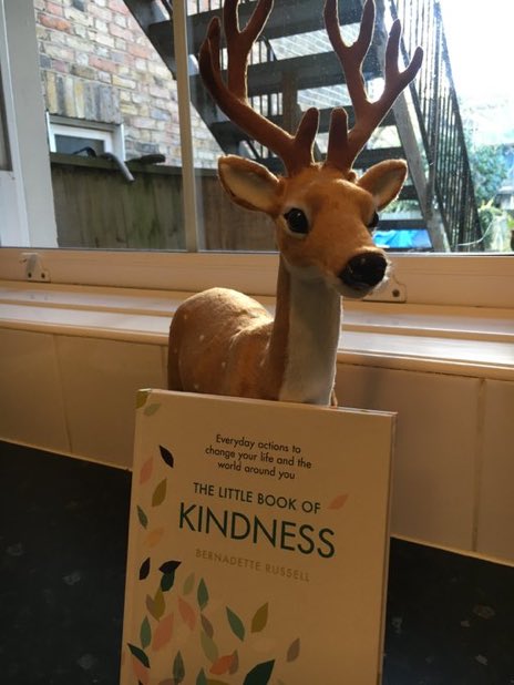 Heather’s House of Stories (@storiesheather) on Twitter photo 