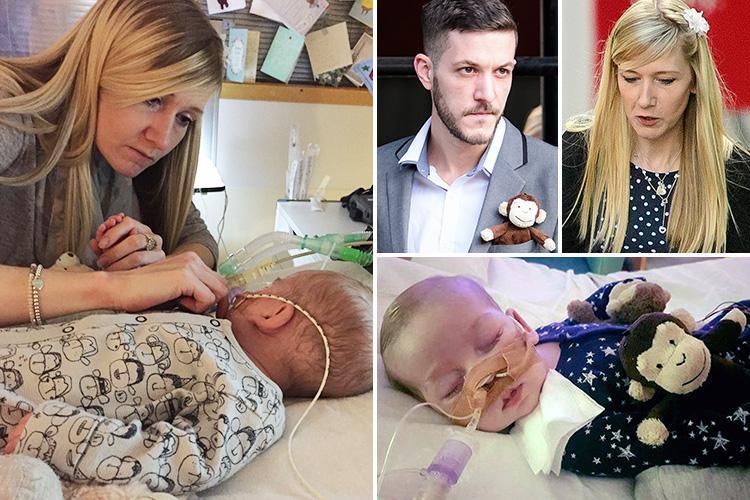 Mrsshaw0607's tweet photo. I just wanted to wish you all a happy new year๐ I dedicate 2017 to #charliegard the year of the blue hearts๐๐๐๐ connie,chris & charlie you are always in my thoughts & heart . Thankyou for letting me be part of #charliesarmy I have truly met some amazing people #cteamarmy ๐ https://t.co/tAtJr3URla