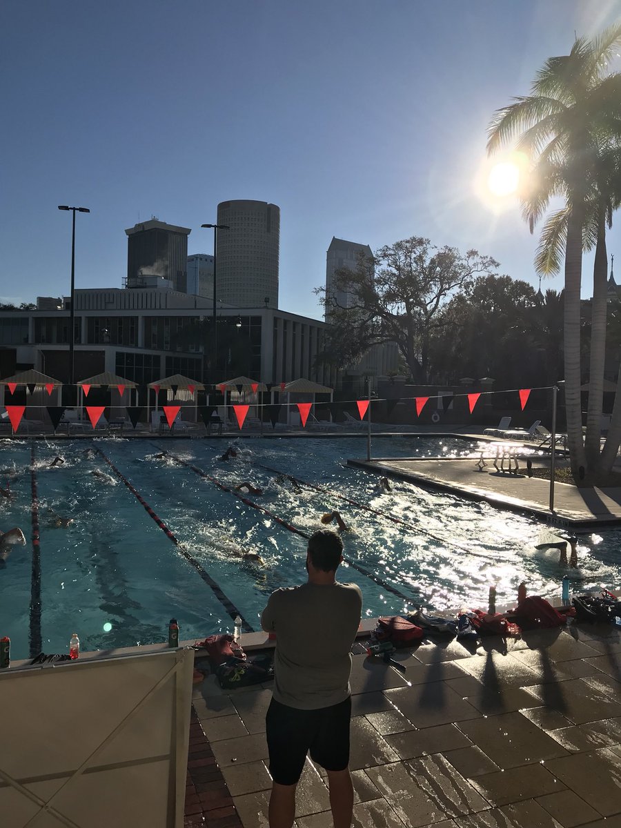 UTampaSwimming's tweet photo. Ringing in the new year with 20x18s (450s)! ☀️🌴🏊‍♀️🏊‍♂️ #UTSwim #TampaSwimming https://t.co/tZpObfOe9i