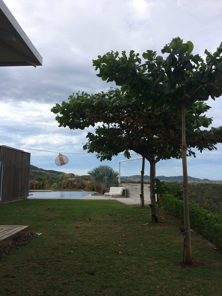 Benoît Berben tweet media