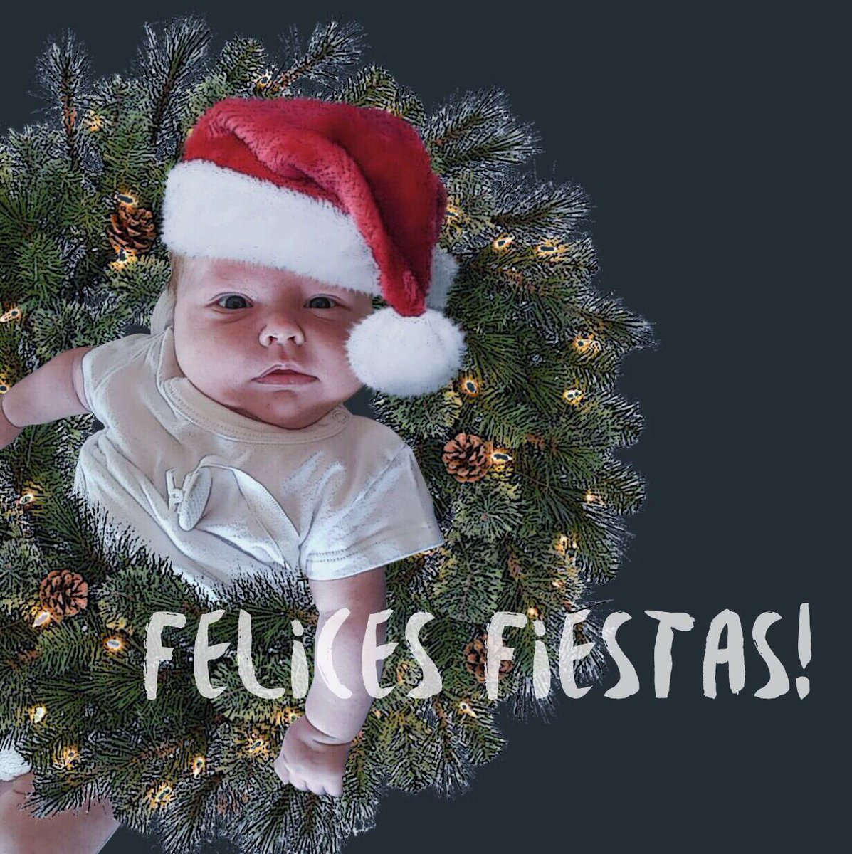 marley_ok's tweet photo. Felices Fiestas y Feliz 2018 les desea Mirko (lo escribió él, yo no tengo nada que ver) https://t.co/PczZtfHwZQ