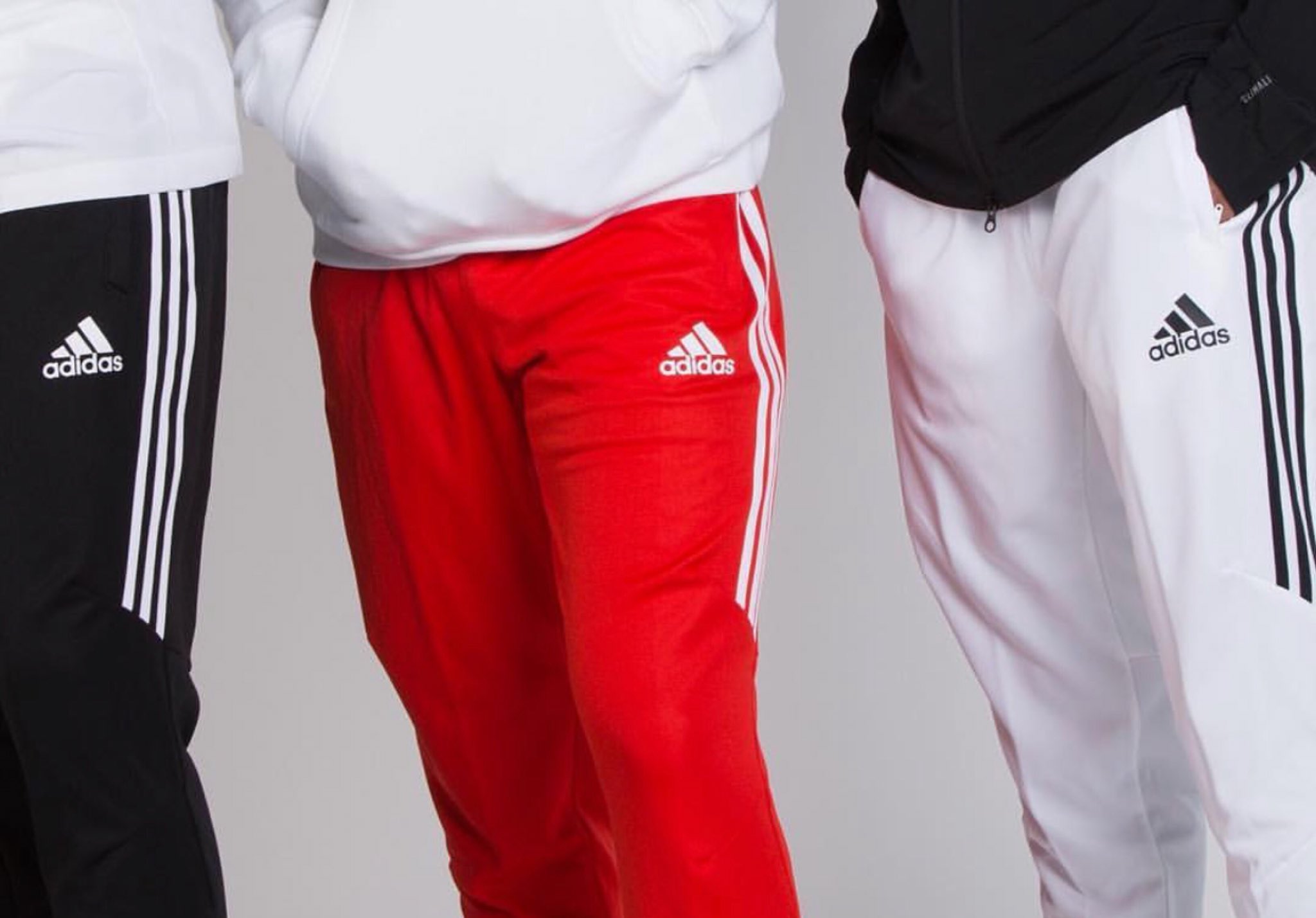 champs adidas pants