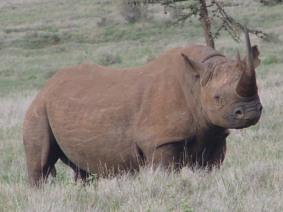 Camilla Le May tweet media