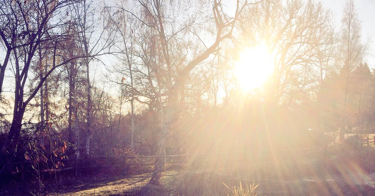 kingdom_yoga's tweet photo. Wishing you all a light filled 2018. #reflections #intentions #newadventures @kingdom_yoga @Kingdom_pen https://t.co/rZOWSQF9lG