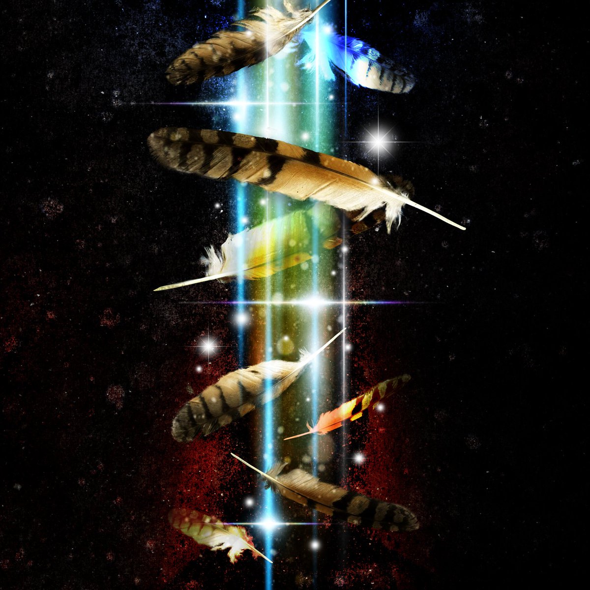 HARUKI HOSOYA tweet media