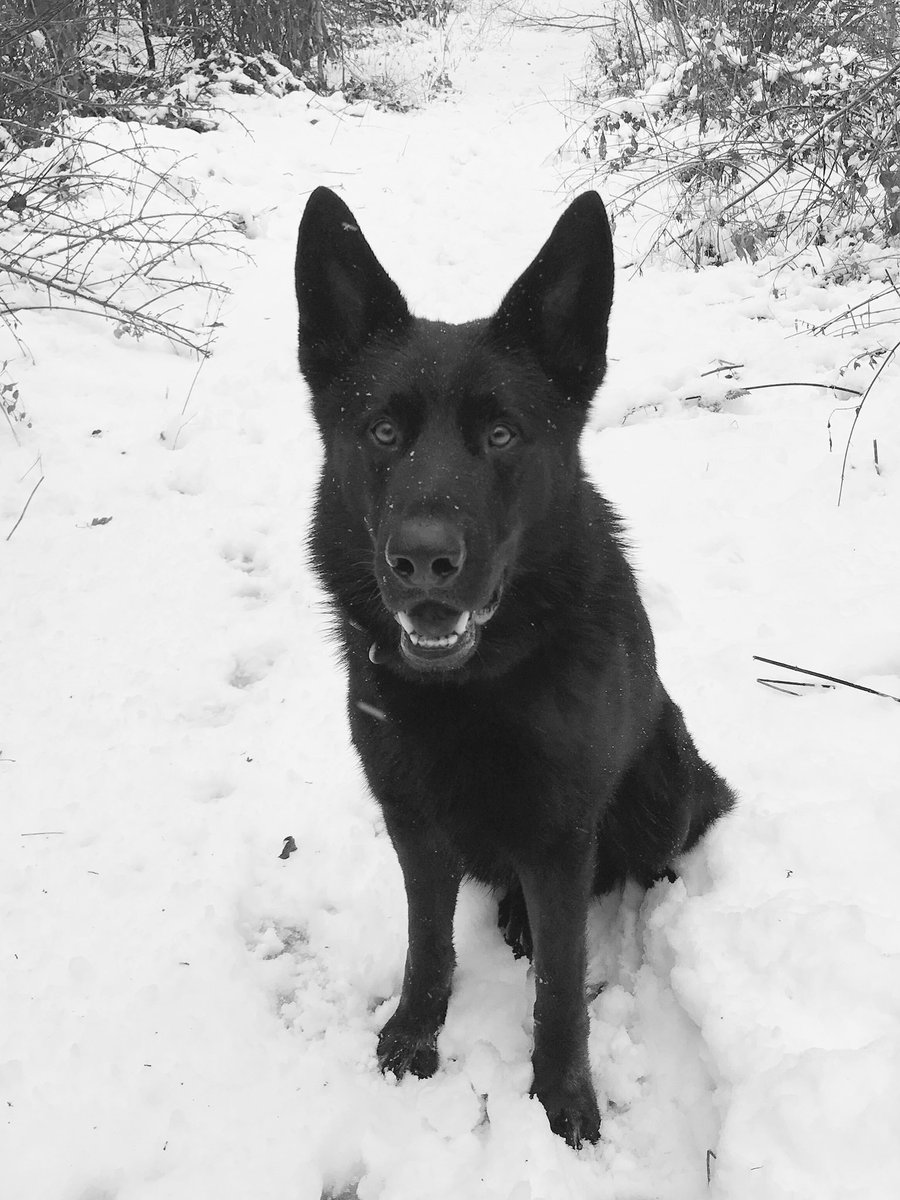 Have a great New Year everyone. Thank you for all your support throughout and I'm sure we'll have some good things to tweet about in 2018.