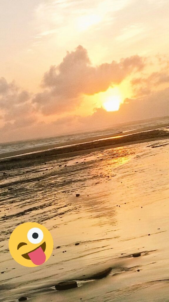 Eloi Santos #timbeta (@eloisantos28) on Twitter photo 