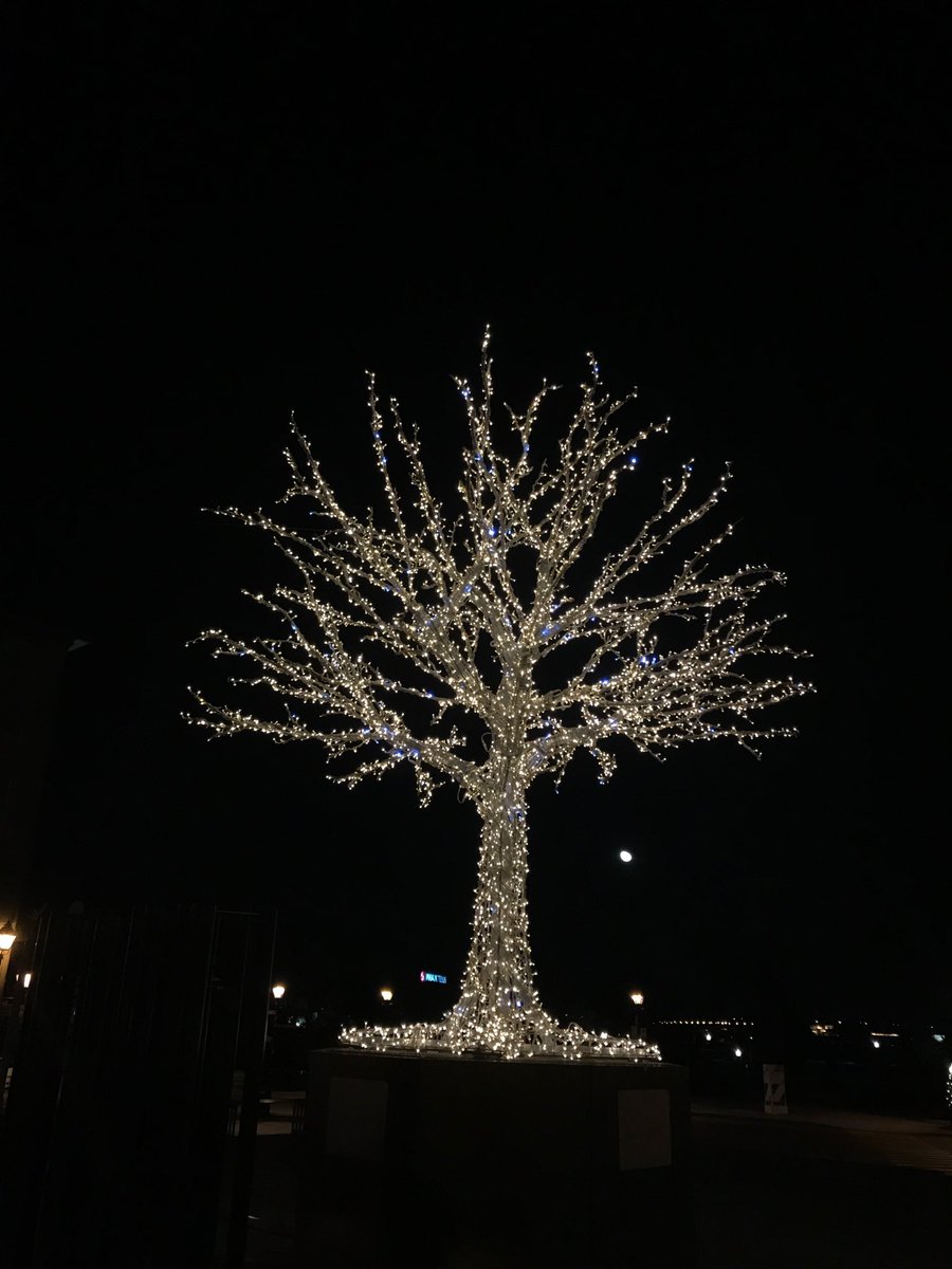 LogCabinProd's tweet photo. Merry Holidays and Happy New Year! Wishing all a sparkling 2018. https://t.co/y5w79xUVFN