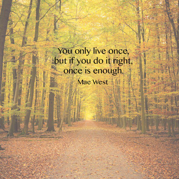 TheBuddingGuys's tweet photo. Thought for 2018 - What's yours? https://t.co/RWtjq24unR