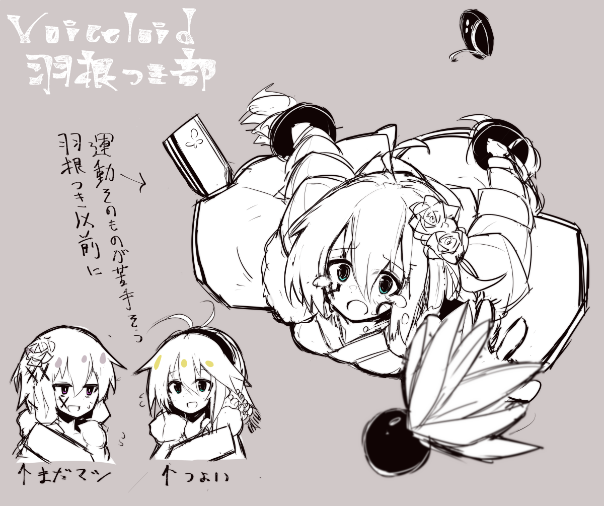 あかりちゃん羽根つきめっちゃ弱そうって思っただけのrkgk、 