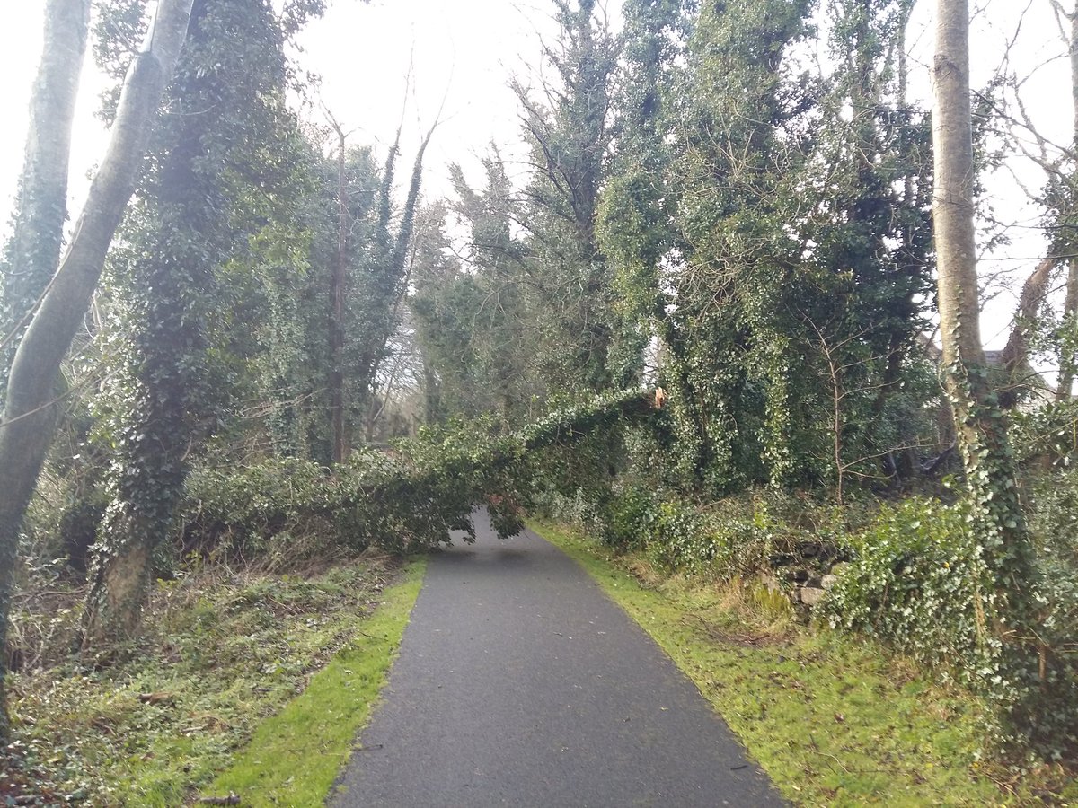 @GalwayCoCo Tree down in Renville Park near Manor House #galwaycountycouncil #renville #oranmore #StormDylan #galway