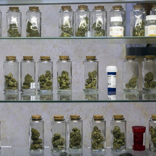 Weedplug3's tweet photo. Top quality buds, feel free to write me anytime. https://t.co/ZTat0XkgbT