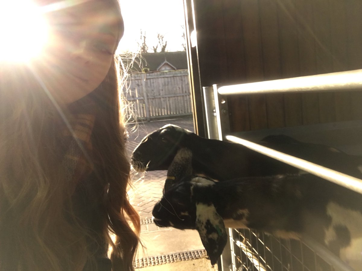 miIIieoliver's tweet photo. nice day at the farm https://t.co/gnapgjKcxE