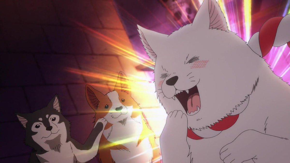 fuji2plus's tweet image. 明けましておめでとうございます！
戌年ということで戌(犬)が多く出た秋アニメの犬を貼りますね～

今後ともよろしくお願いします！