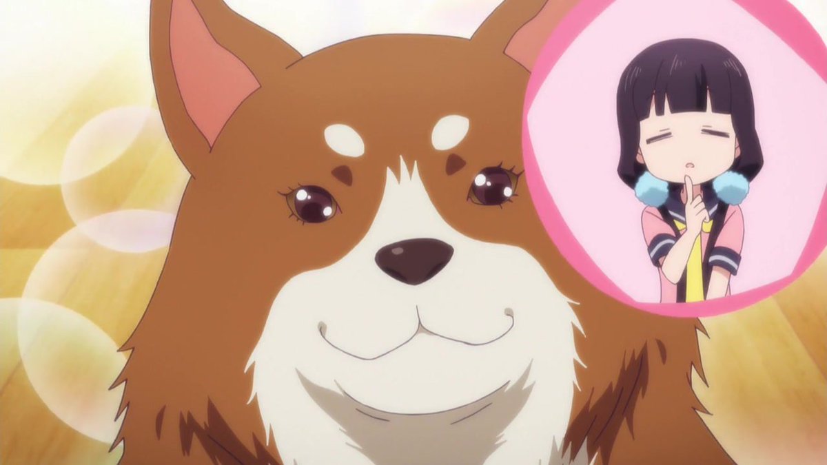 fuji2plus's tweet image. 明けましておめでとうございます！
戌年ということで戌(犬)が多く出た秋アニメの犬を貼りますね～

今後ともよろしくお願いします！