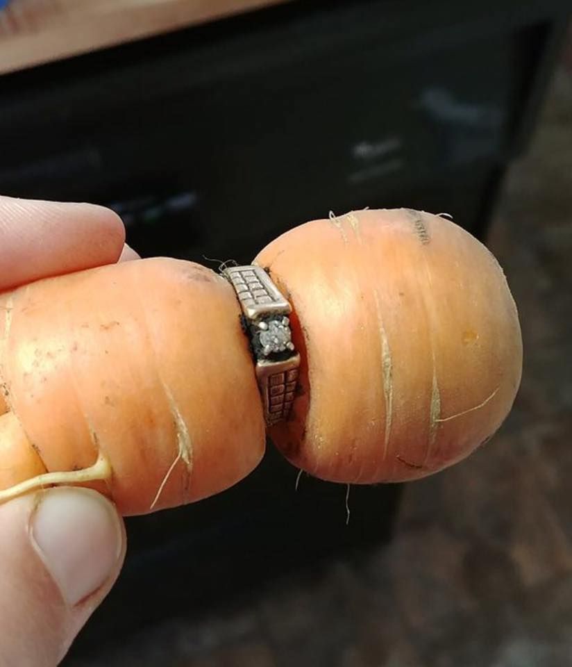 What a great #gardening story: 20 or so years ago my friend Iva's grandmother lost her diamond ring while gardening bit.ly/2n521Qq
