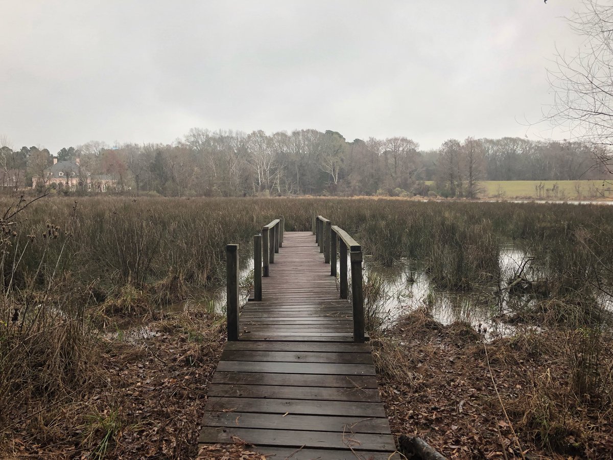 MarshallRamsey's tweet photo. #mile3 As cold as it is today, it is balmy compared what the upcoming week is about to bring. But my goals mean I will face the cold and run it down. #running #runnerbliss #fitness #runnersofinstagram #mississippi #rezrun #whereIRun https://t.co/7WFX5Rirr9