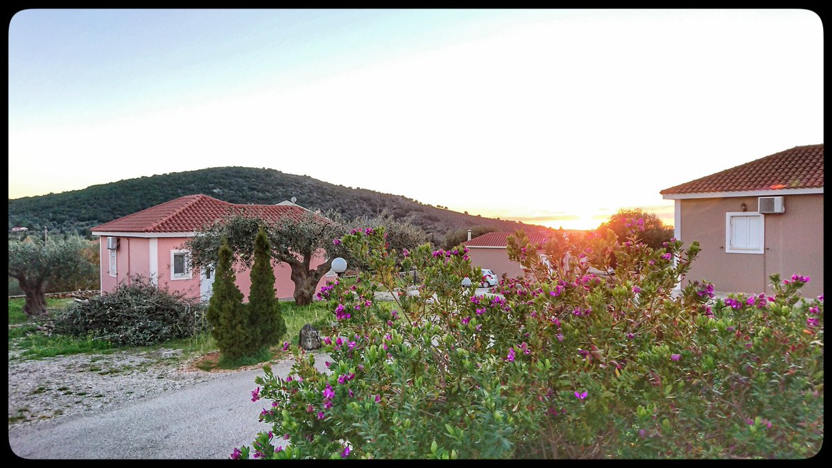 theartofki's tweet photo. Sunset with a purple flower bush
.
.
.
#sunset #sunday #newyearseve #ki #KiLifestyle #BeTheKi #relax #flower #bush #purple https://t.co/tFGQjSkljx