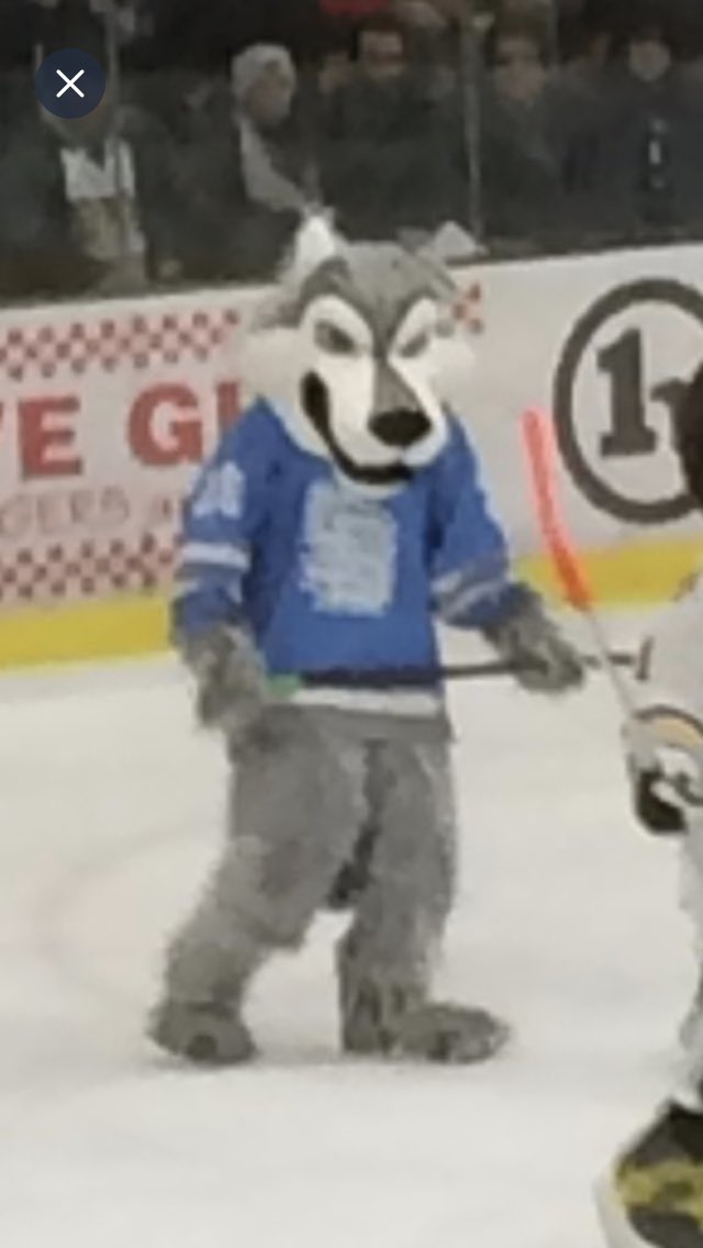 Patrick Burke 🟧 tweet media