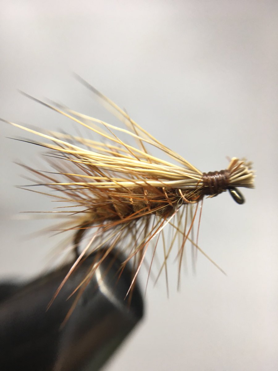 FlyfishermanMTL's tweet photo. First time tying a Elk Hair Cadiss! #FlyFishing #flytying https://t.co/UCnejPCtv5