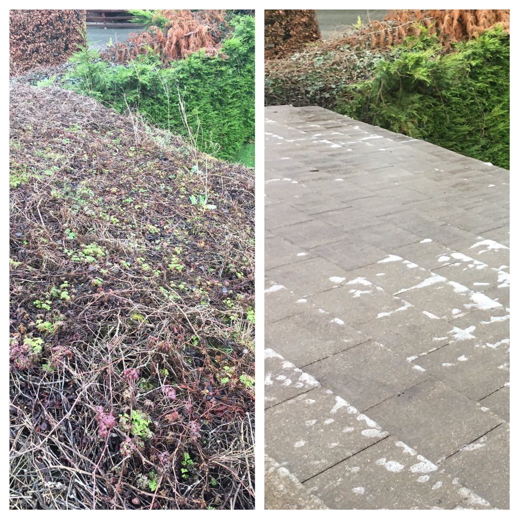 Softwash_ie's tweet photo. Transform your property in 2018. 
Visit https://t.co/mm6m3vpTYK to arrange a no obligation, free consultation. 

Wishing all our clients and Twitter followers a very Happy New Year! https://t.co/qkl8B57wEW