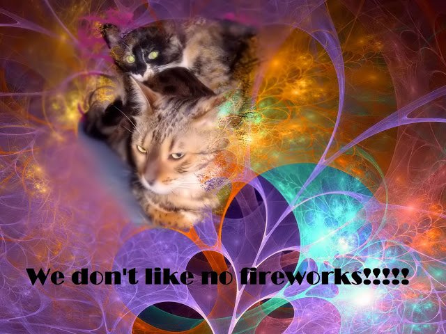 ThCuddlyFriends's tweet photo. Shh... https://t.co/hISjblH3JU #NewYearsEve #Feliz2018 #fireworks #noise #CatsOfTwitter #animals https://t.co/bsXdb0Inn9
