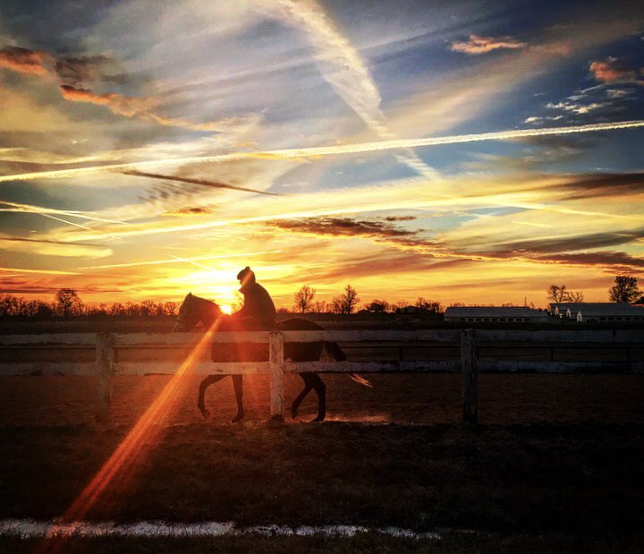 RickSamuels4's tweet photo. Another beautiful sunrise at the Thoroughbred Training Center in Lexington...
© Rick Samuels 2017
@BloodHorse @ https://t.co/pC13Yx9sAx