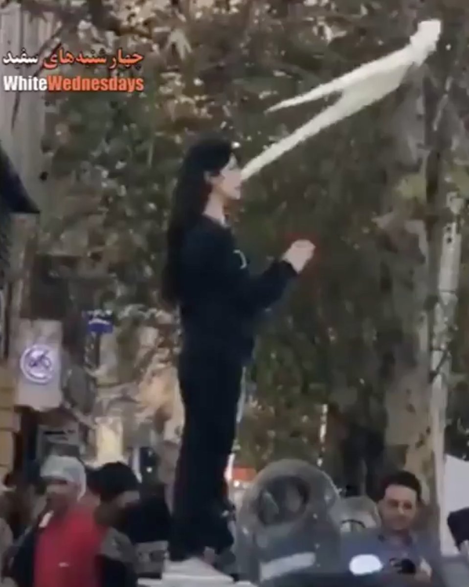 Michael Shermer tweet media