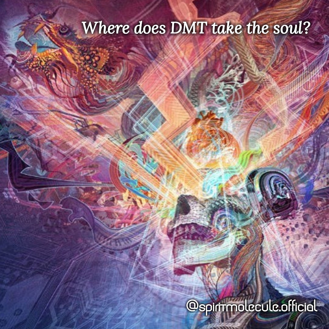 _SpiritMolecule's tweet photo. Where does DMT take the soul? #dmt #Psychedelics https://t.co/NA9WM52S13