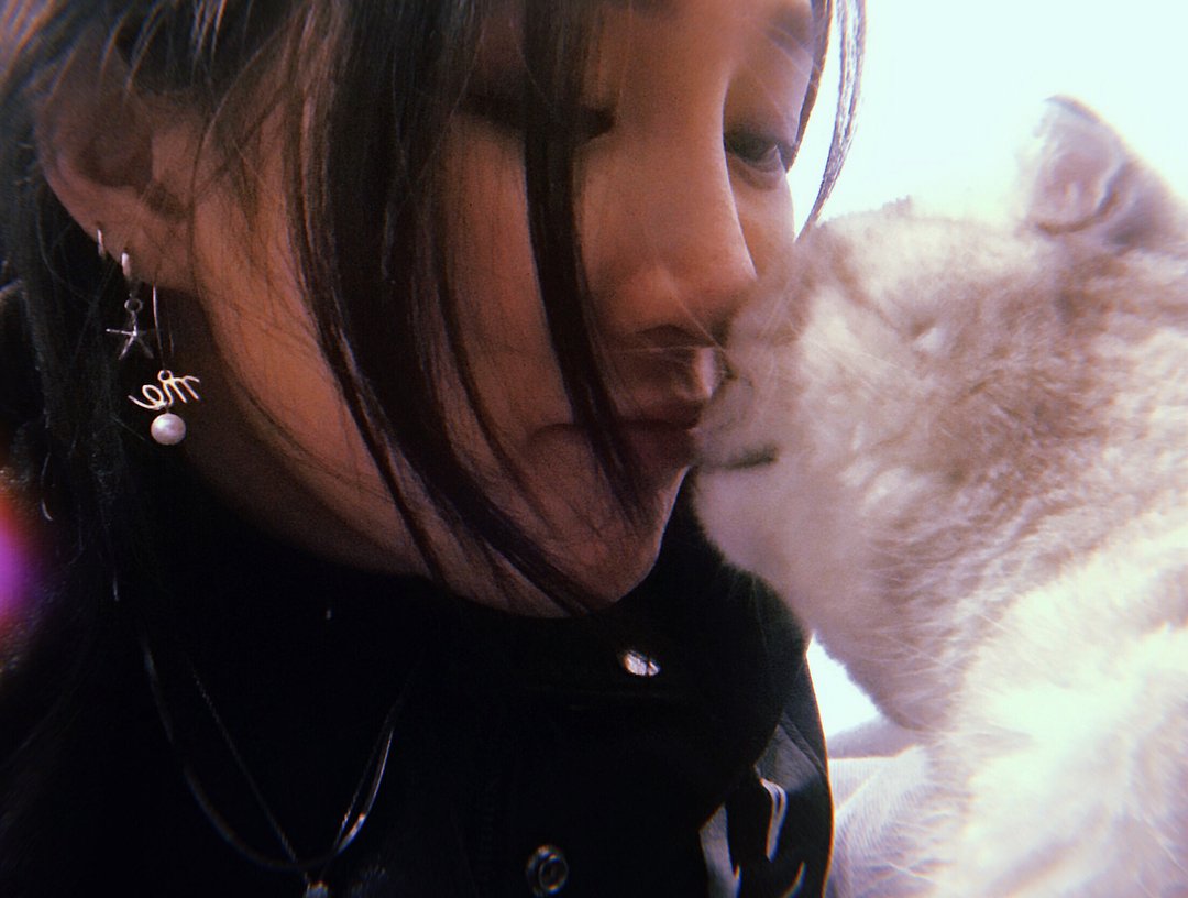 sayAbr's tweet photo. MENG Jia via Instagram https://t.co/wEMTeJriwb