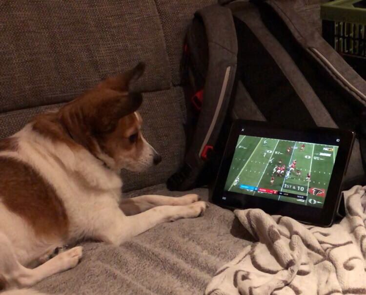 Knallen ist doof. Aber Football beruhigt 😀😀 #ranNFL #ranNFLsuechtig <a href="/Icke41/">Icke Dommisch</a> #football