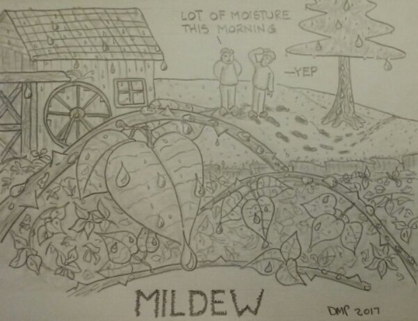 zugford's tweet photo. #cartoon #comics #silly #illustration #puns  #watermill #mill #dew #mildew #condensation #droplets #pun #visualpun #humor #joke https://t.co/HZNMYuGjKm