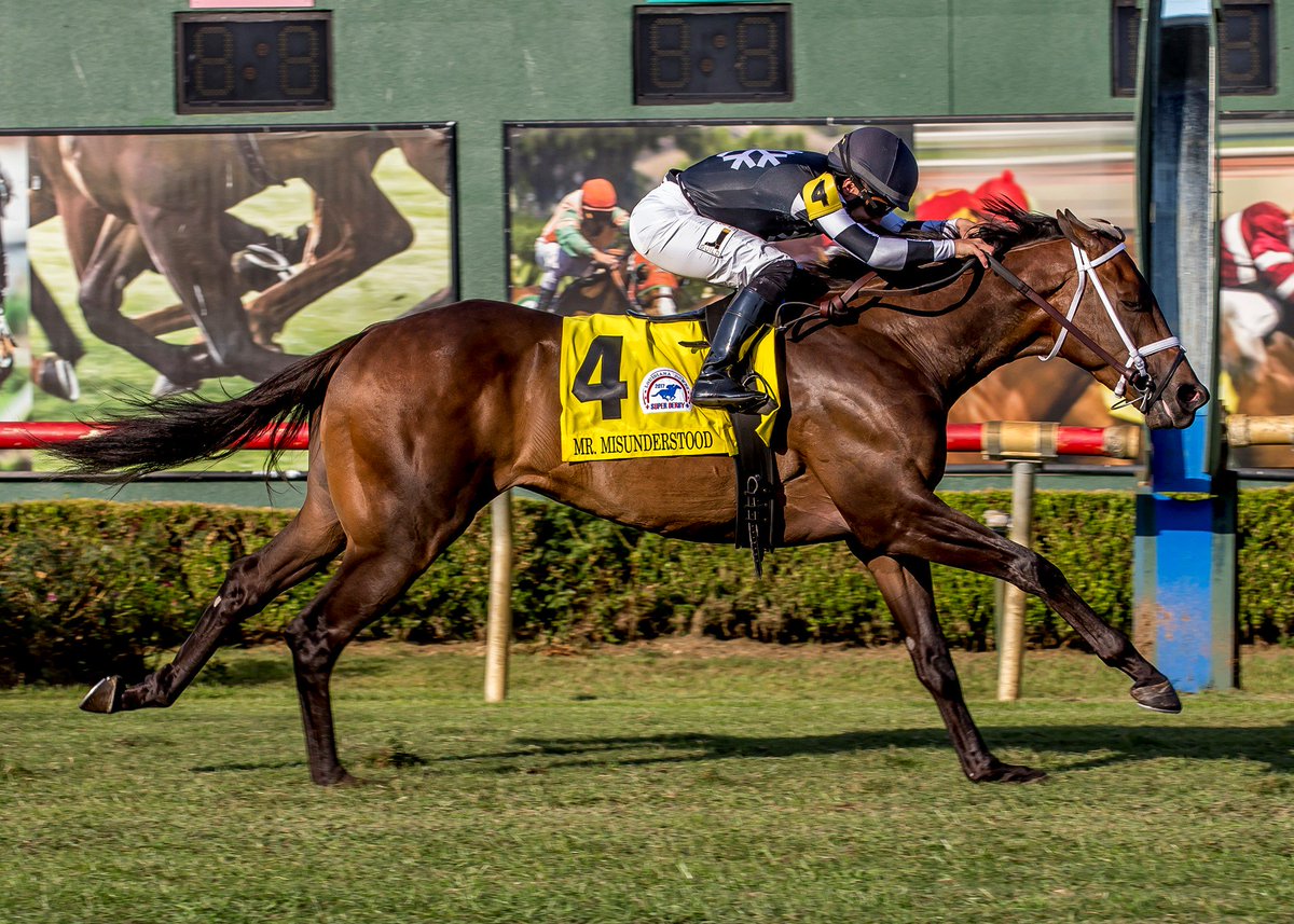 MarthaClaussen's tweet photo. @HarrahsLADowns Prelude & Super Derby champ Mr Misunderstood keeps winning stakes for @Staton_Flurry & @bradcoxracing! #turfking
https://t.co/2WsqUneUPo @JohnLMcGary https://t.co/xx4JxxsO4v
