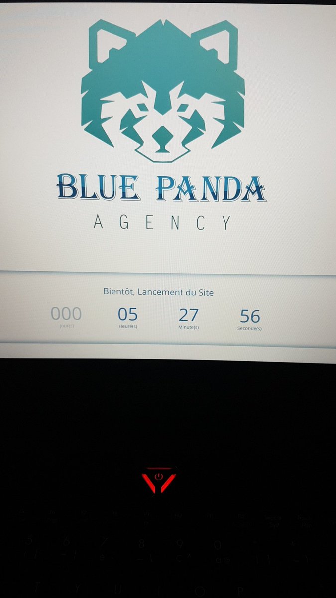 BluePandaAgency tweet picture