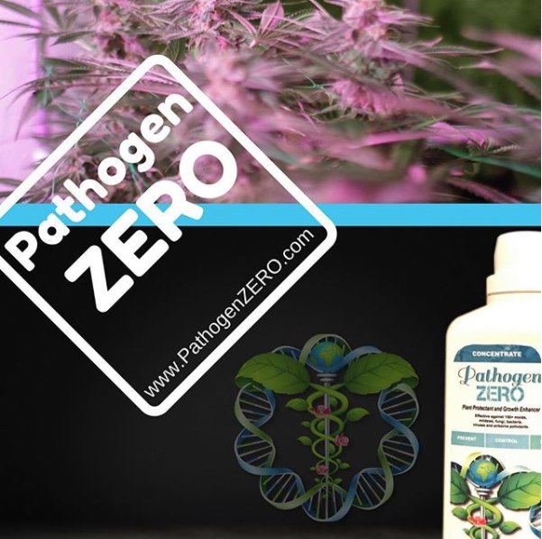 PathogenZero's tweet image. Keep your garden protected at all times with PathogenZERO! Learn more at PathogenZERO.com today!